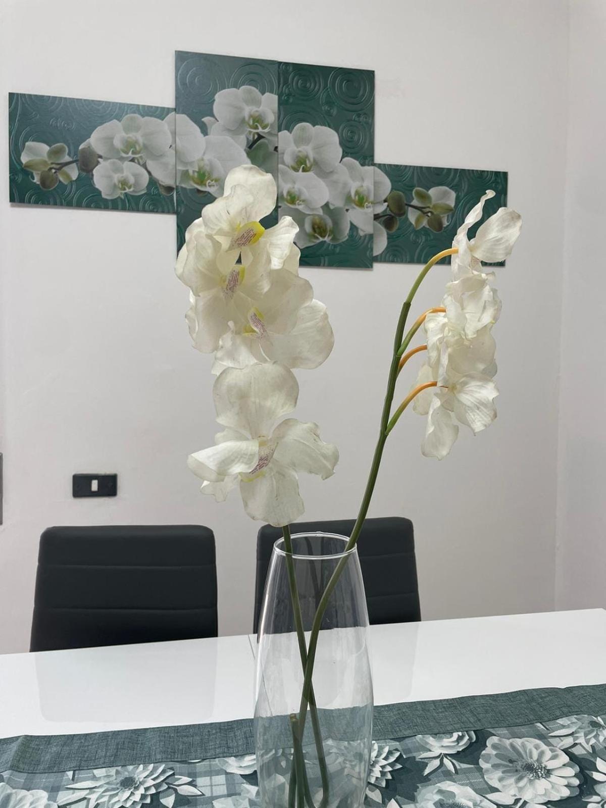 Appartement Claudiae Domus Rome
